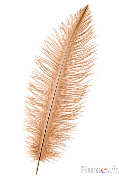 Strauss - 30-40 cm - gold
